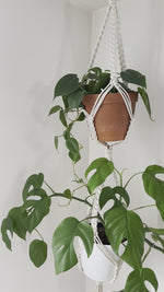 Load and play the video in the Gallery viewer,TRESSIA ~ double small plant hanger
