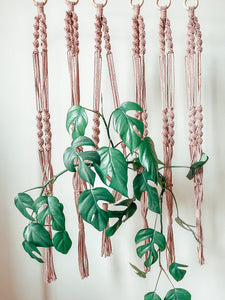 FOLIE ~ large plant hanger