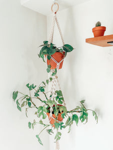 Dako ~ double plant hanger