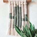 Load the image in the gallery,Calitus ~ Wall cactus
