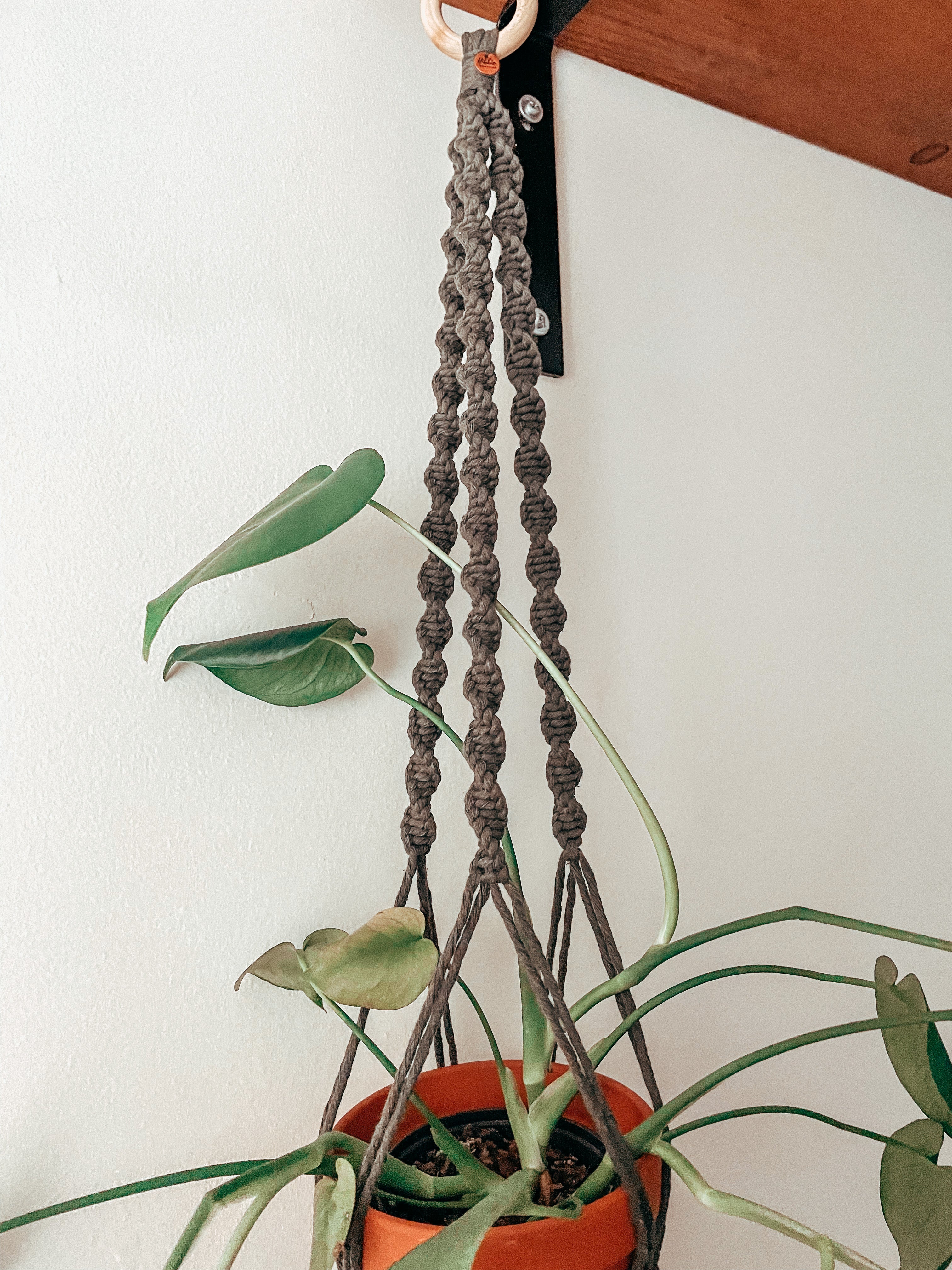 VOILIE ~ medium plant hanger