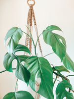 Load the image in the gallery,ORA~ small plant hanger
