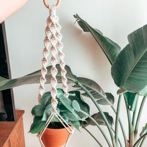 TOLIE ~ medium plant hanger