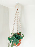 Load the image in the gallery,TOLIE ~ medium plant hanger
