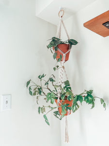 Dako ~ double plant hanger