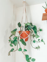 Load the image in the gallery,NILA~ large plant hanger
