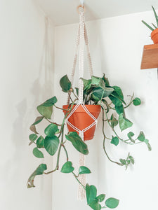 NILA~ large plant hanger