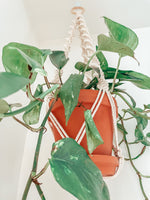 Load the image in the gallery,TOILA ~ large plant hanger
