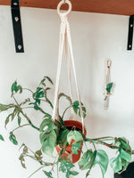 Load the image in the gallery,KOBA ~ medium plant hanger
