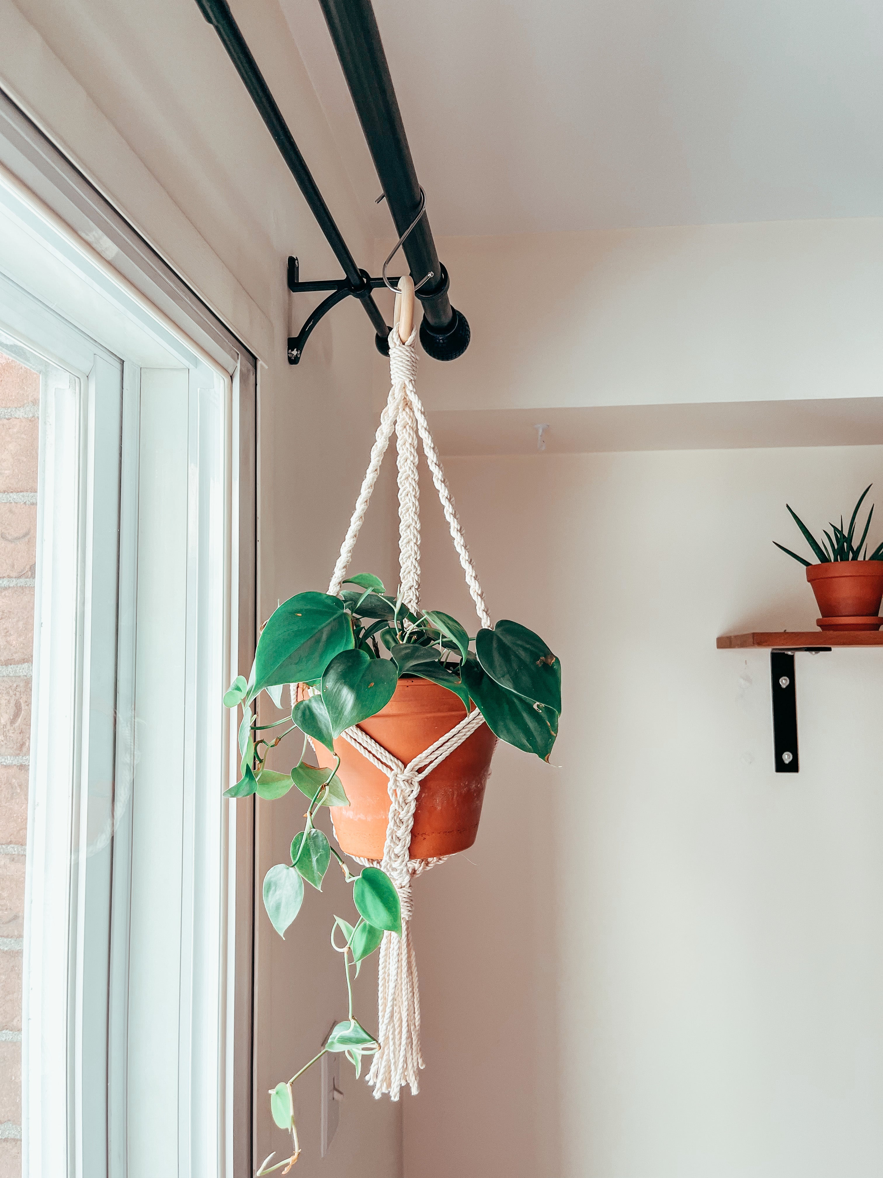 TRESSA ~ small plant hanger