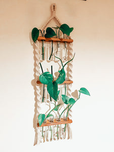 PROPIE ~ propagation suspension