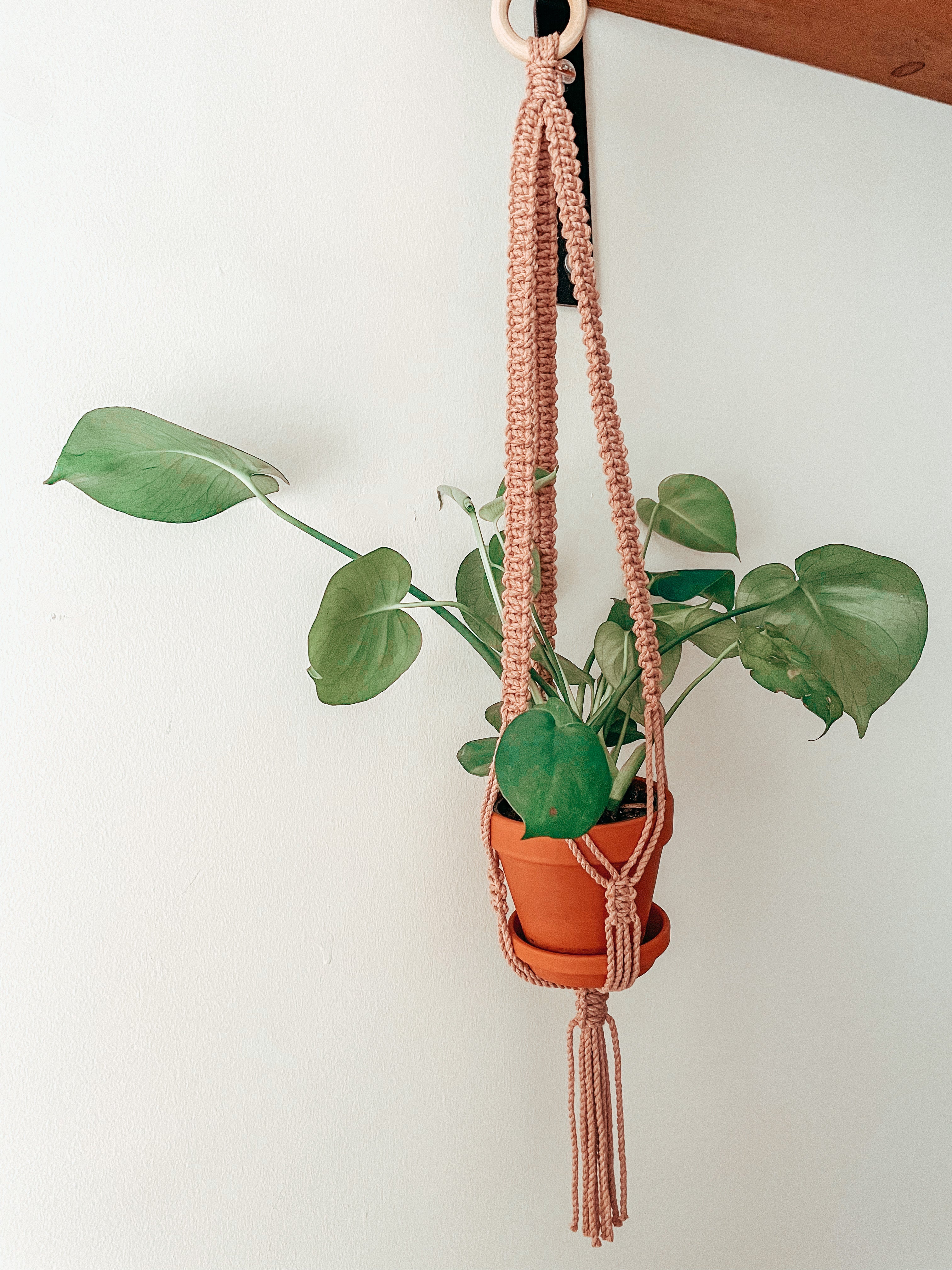 POUKIE ~ small plant hanger