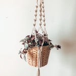 Load the image in the gallery,TORLO ~ medium plant hanger
