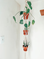 Load the image in the gallery,AUNTY ~ triple medium plant hanger
