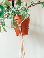 Load the image in the gallery,KOBA ~ medium plant hanger
